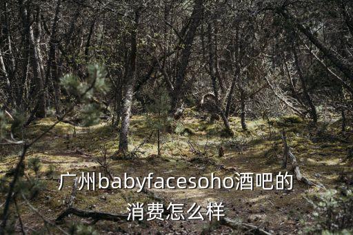 廣州babyfacesoho酒吧的消費怎么樣