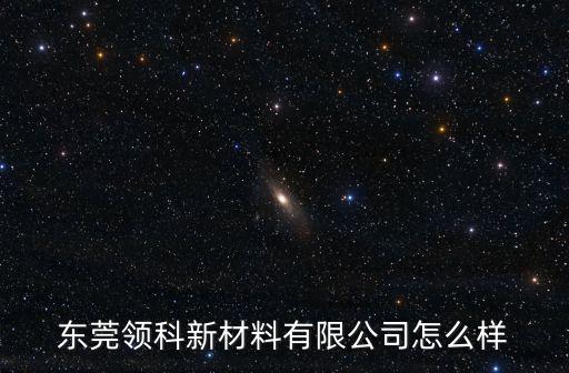 東莞領科新材料有限公司怎么樣