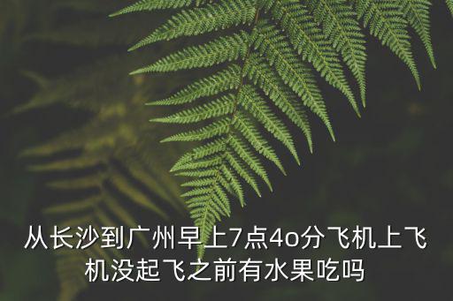 從長沙到廣州早上7點4o分飛機上飛機沒起飛之前有水果吃嗎
