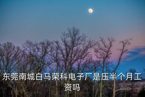 東莞南城白馬榮科電子廠是壓半個月工資嗎