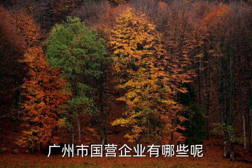 廣州市國營企業有哪些呢