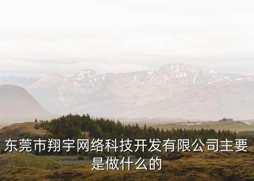東莞市翔宇網絡科技開發有限公司主要是做什么的