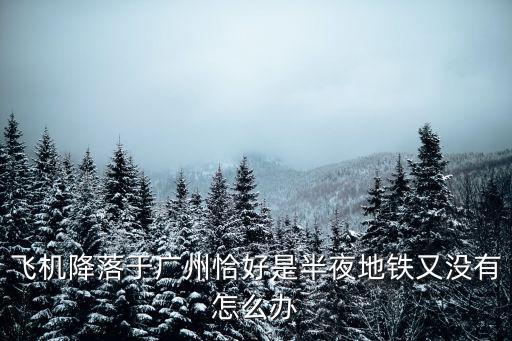 飛機降落于廣州恰好是半夜地鐵又沒有怎么辦