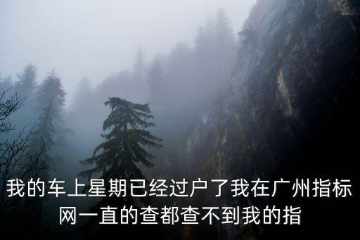 我的車上星期已經過戶了我在廣州指標網一直的查都查不到我的指