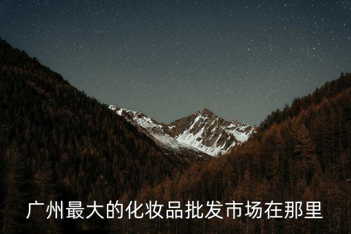 廣州最大的化妝品批發市場在那里