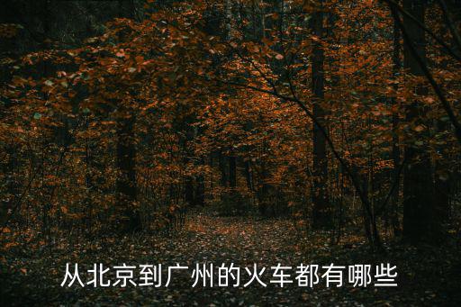 從北京到廣州的火車都有哪些