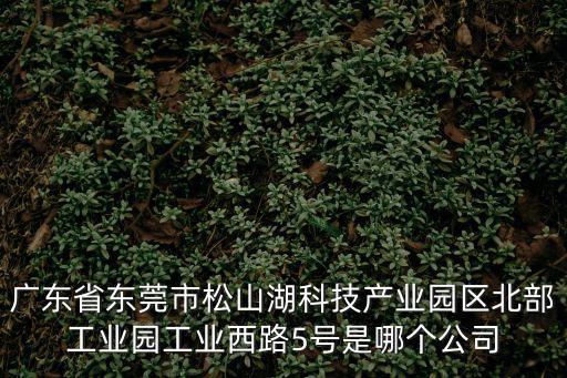 廣東省東莞市松山湖科技產業園區北部工業園工業西路5號是哪個公司