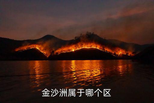 金沙洲屬于哪個區