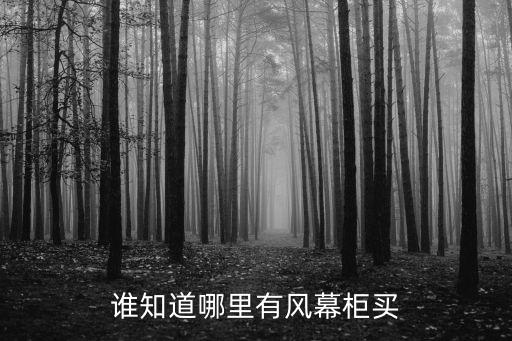 誰知道哪里有風幕柜買