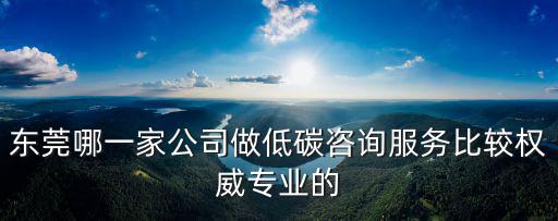 東莞哪一家公司做低碳咨詢服務(wù)比較權(quán)威專(zhuān)業(yè)的