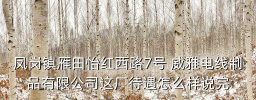 鳳崗鎮(zhèn)雁田怡紅西路7號(hào) 威雅電線制品有限公司這廠待遇怎么樣說完