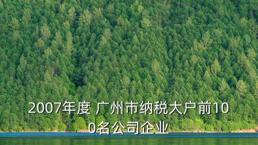 2007年度 廣州市納稅大戶前100名公司企業
