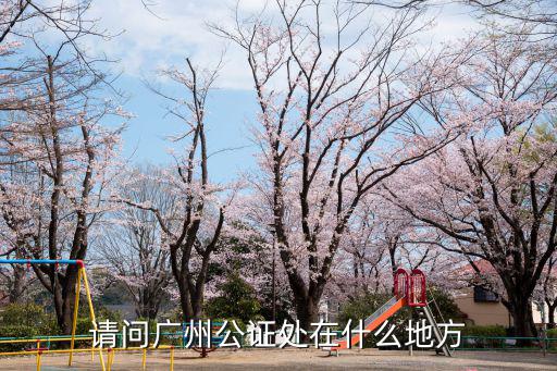 請問廣州公證處在什么地方
