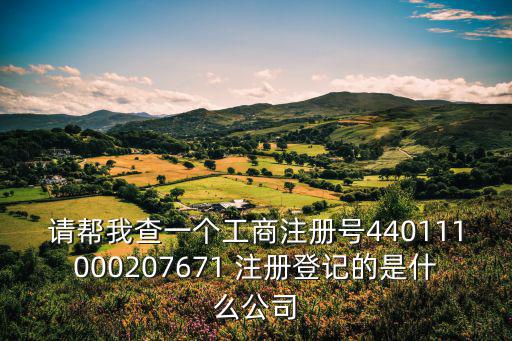 請幫我查一個工商注冊號440111000207671 注冊登記的是什么公司