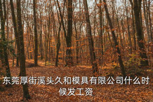 東莞厚街溪頭久和模具有限公司什么時(shí)候發(fā)工資