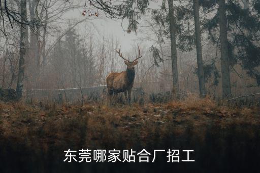 東莞哪家貼合廠招工