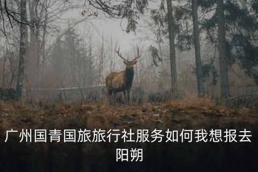 廣州國(guó)青國(guó)旅旅行社服務(wù)如何我想報(bào)去陽(yáng)朔