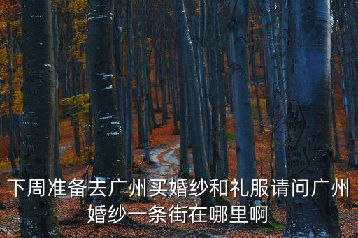 下周準備去廣州買婚紗和禮服請問廣州婚紗一條街在哪里啊