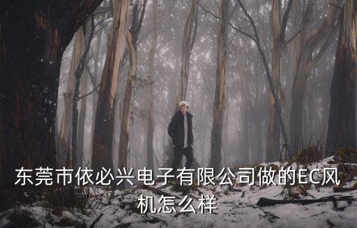 東莞市依必興電子有限公司做的EC風(fēng)機怎么樣
