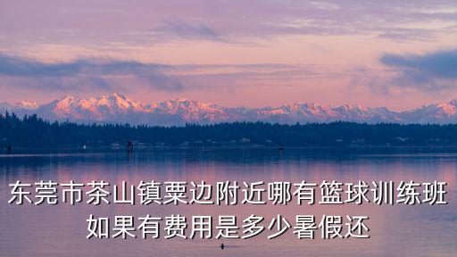東莞市茶山鎮粟邊附近哪有籃球訓練班如果有費用是多少暑假還