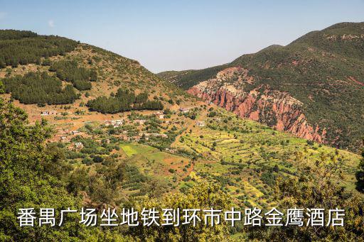 廣州金鷹酒店話，廣州金鷹酒店是國企的嗎