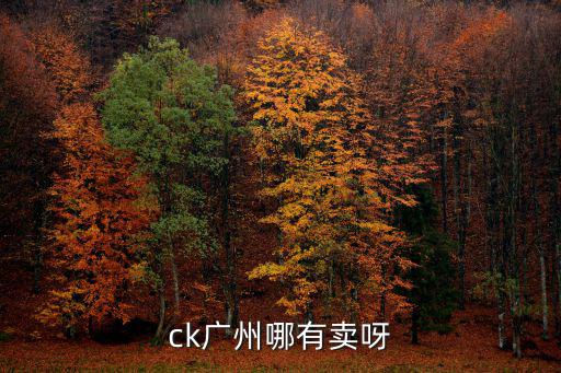 ck廣州哪有賣呀