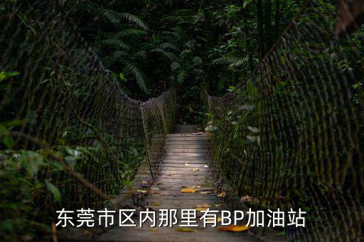東莞市區內那里有BP加油站