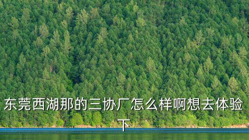 東莞西湖那的三協(xié)廠怎么樣啊想去體驗下