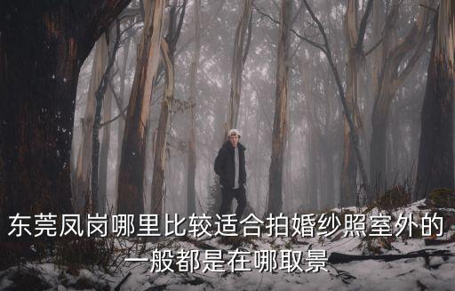 東莞鳳崗哪里比較適合拍婚紗照室外的一般都是在哪取景