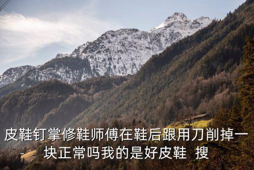 皮鞋釘掌修鞋師傅在鞋后跟用刀削掉一塊正常嗎我的是好皮鞋  搜