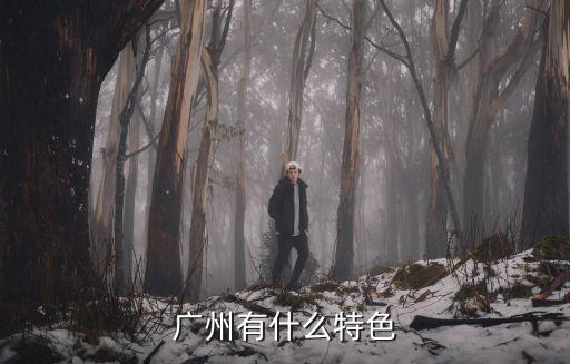 廣州有什么特色