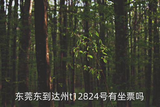 東莞東到達州t12824號有坐票嗎
