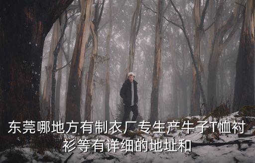 東莞市恩碩服飾有限公司，請問東莞塘廈石鼓有沒有制衣廠