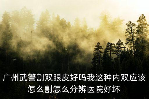 廣州武警割雙眼皮好嗎我這種內雙應該怎么割怎么分辨醫院好壞