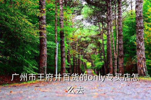 廣州市王府井百貨的only專買店怎么去