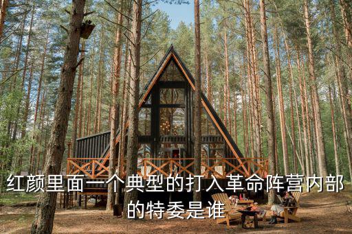 特委，紅顏里面一個典型的打入革命陣營內部的特委是誰