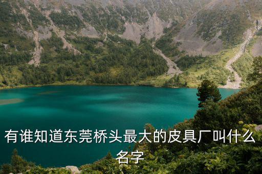 東莞禾豐皮具有限公司，有誰知道東莞橋頭最大的皮具廠叫什么名字