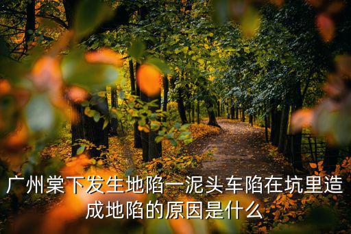 廣州一公交車自撞隧道口，廣州火車站到科豐路87號有什么公交車