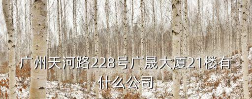 廣州天河路228號廣晟大廈21樓有什么公司
