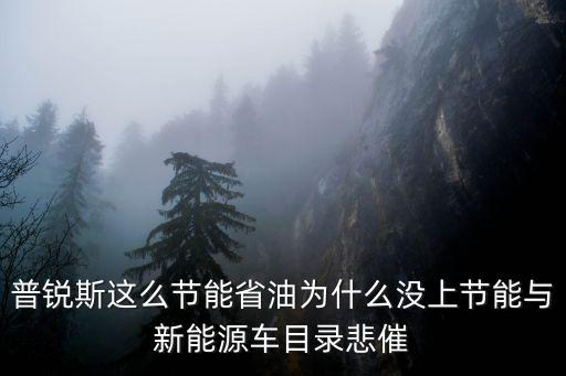 普銳斯這么節(jié)能省油為什么沒上節(jié)能與新能源車目錄悲催