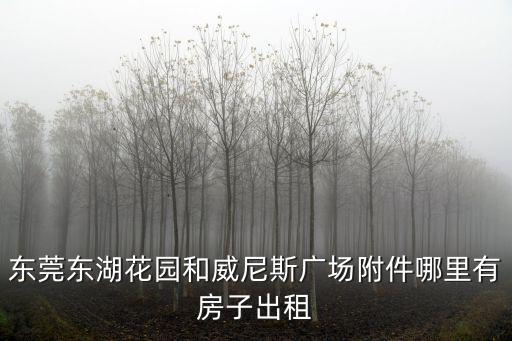 東莞東湖花園和威尼斯廣場(chǎng)附件哪里有房子出租