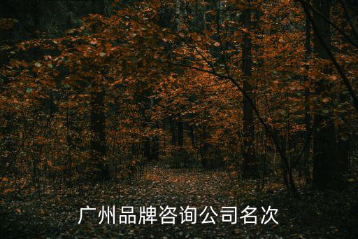廣州品牌咨詢公司名次
