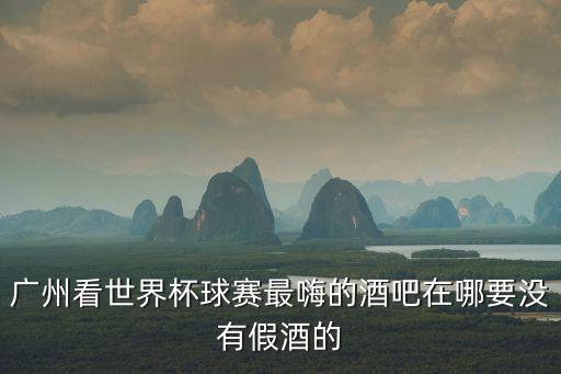 廣州看世界杯球賽最嗨的酒吧在哪要沒有假酒的