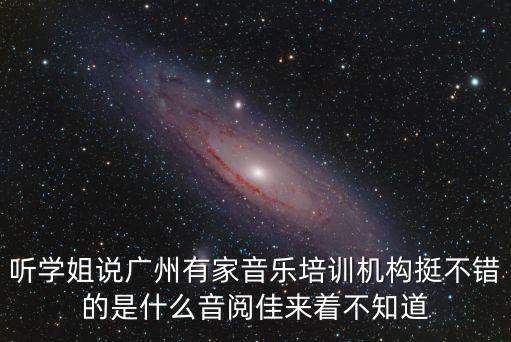 聽學姐說廣州有家音樂培訓機構挺不錯的是什么音閱佳來著不知道