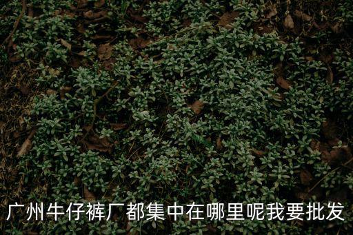 廣州牛仔褲廠都集中在哪里呢我要批發