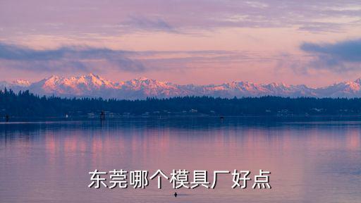 東莞哪個模具廠好點