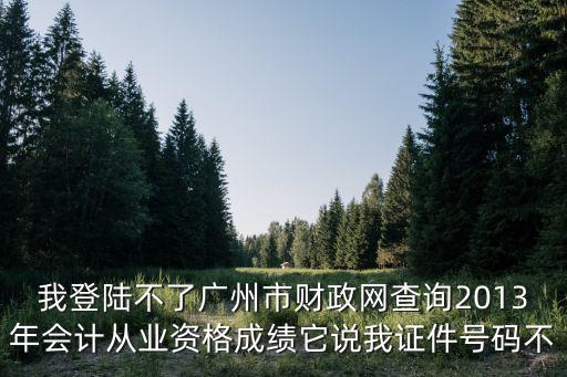 我登陸不了廣州市財政網(wǎng)查詢2013年會計從業(yè)資格成績它說我證件號碼不