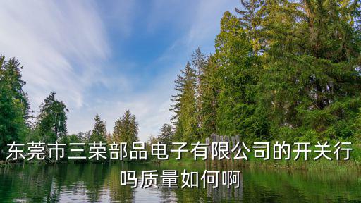 東莞市三榮部品電子有限公司的開關行嗎質量如何啊