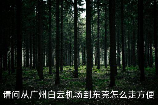 請問從廣州白云機(jī)場到東莞怎么走方便