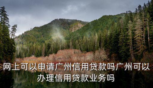 網上可以申請廣州信用貸款嗎廣州可以辦理信用貸款業務嗎